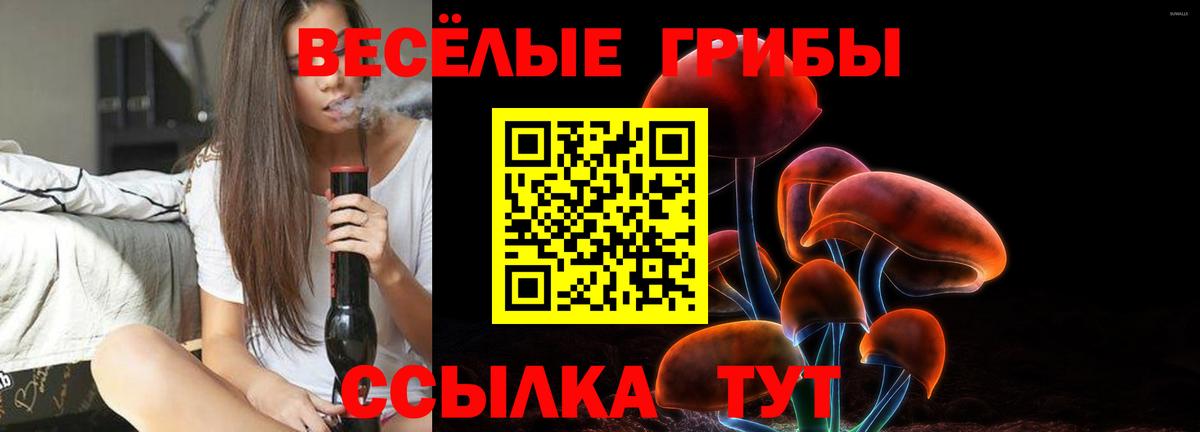 Галлюциногенные грибы Magic Shrooms  Вход с VPN  Амурск 